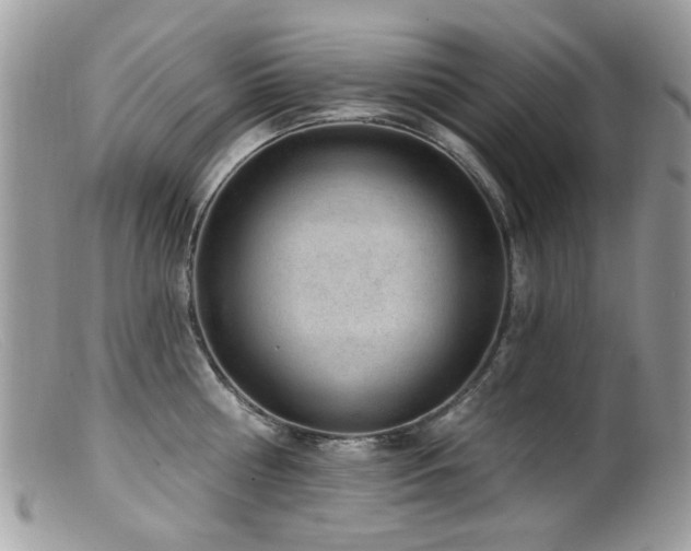 X0000099520810200805151523