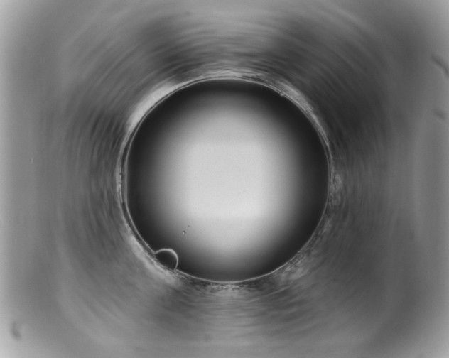 X0000099520811200805151523