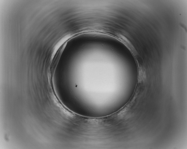 X0000099520812200805151523