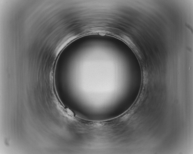X0000099520814200805151523