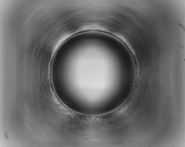 X0000099520815200805151523