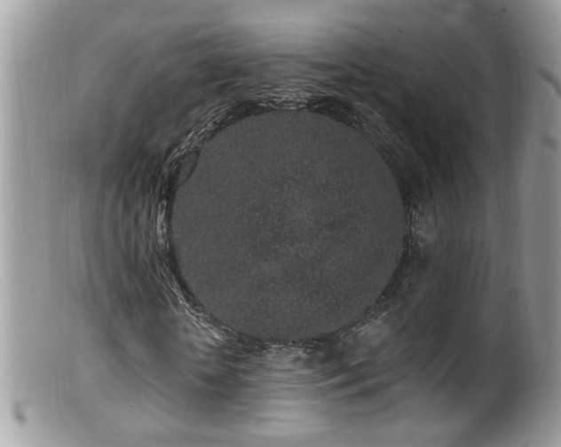 X0000099520818200805151522