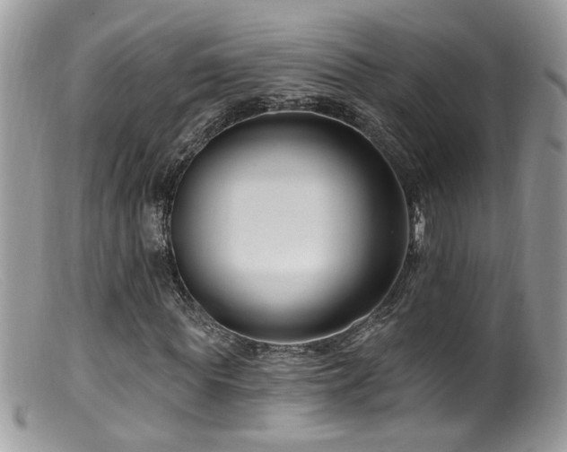 X0000099520819200805151522