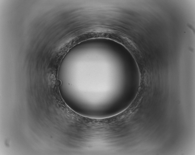 X0000099520821200805151522