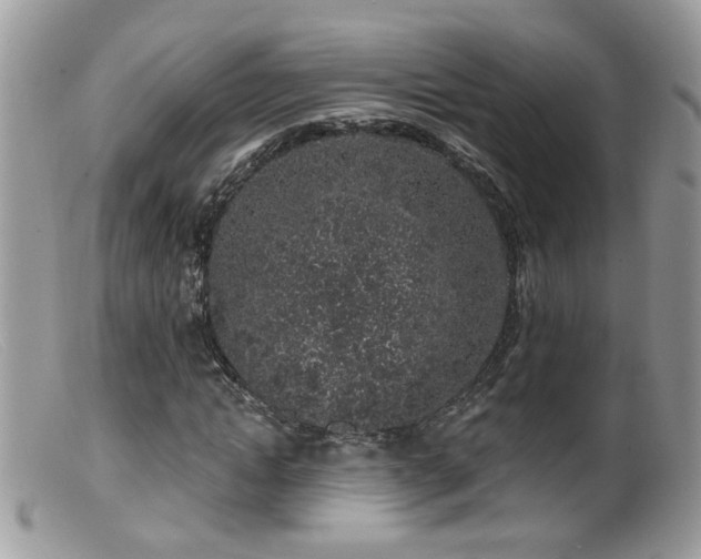 X0000099520822200805151522