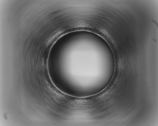 X0000099520825200805151522