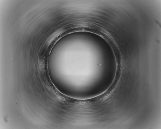 X0000099520826200805151522