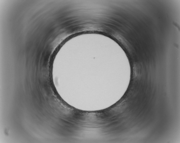 X0000099520828200805151522