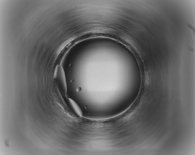 X0000099520829200805151522