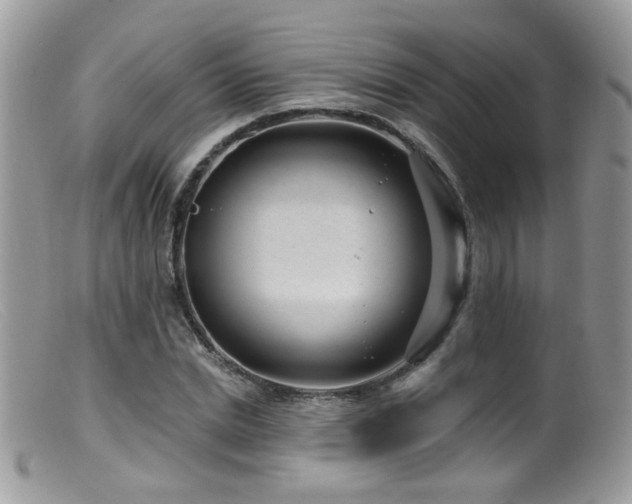 X0000099520830200805151522