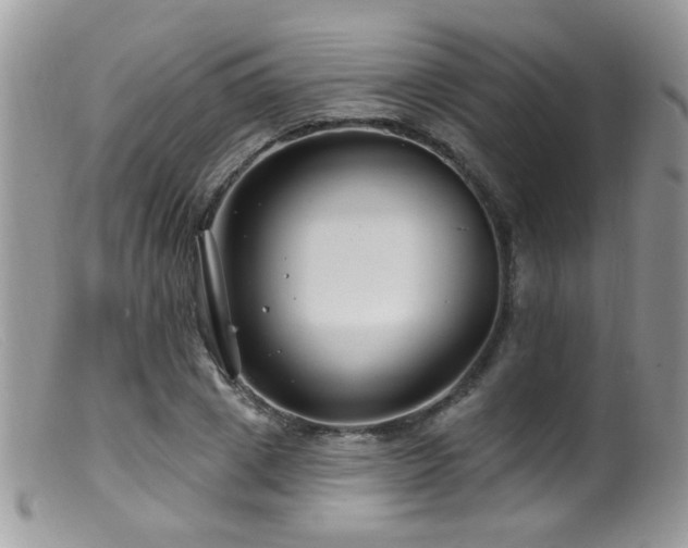 X0000099520833200805151522