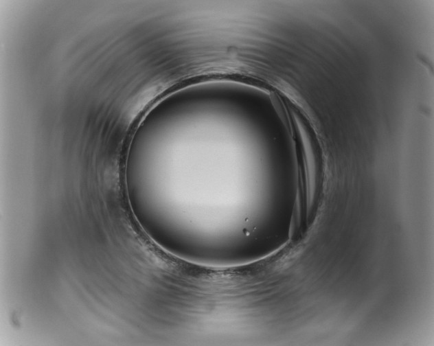 X0000099520834200805151522