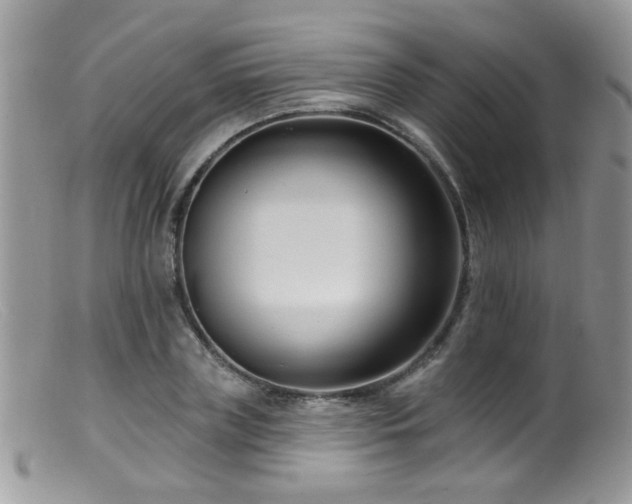 X0000099520835200805151522