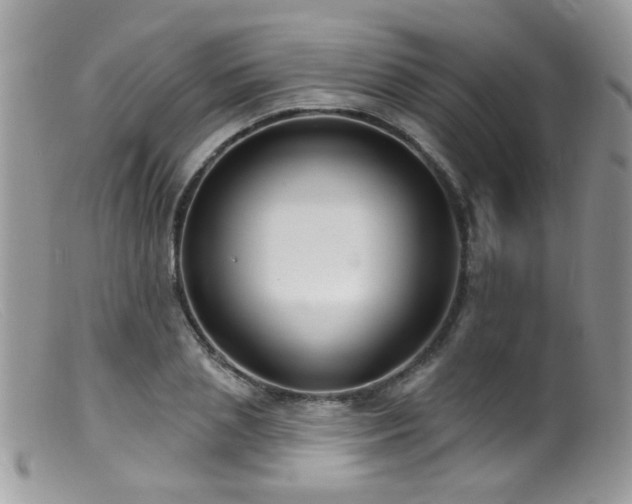 X0000099520837200805151522