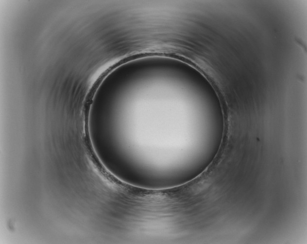 X0000099520838200805151522