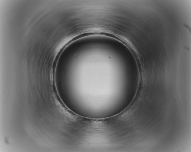 X0000099520839200805151522