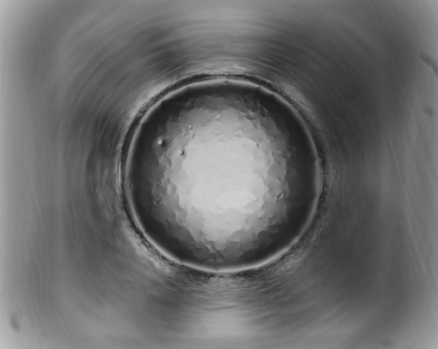 X0000099520840200805151522