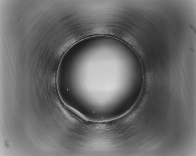 X0000099520841200805151522