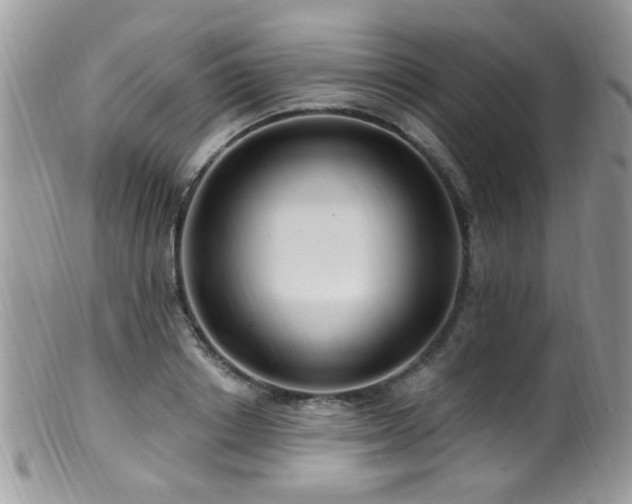 X0000099520842200805151522