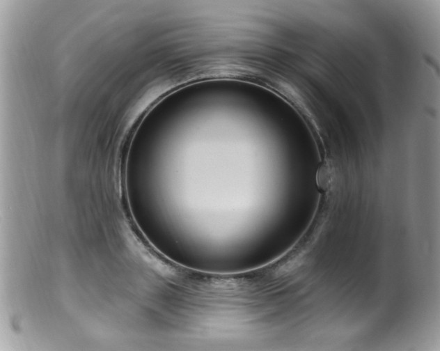 X0000099520843200805151522