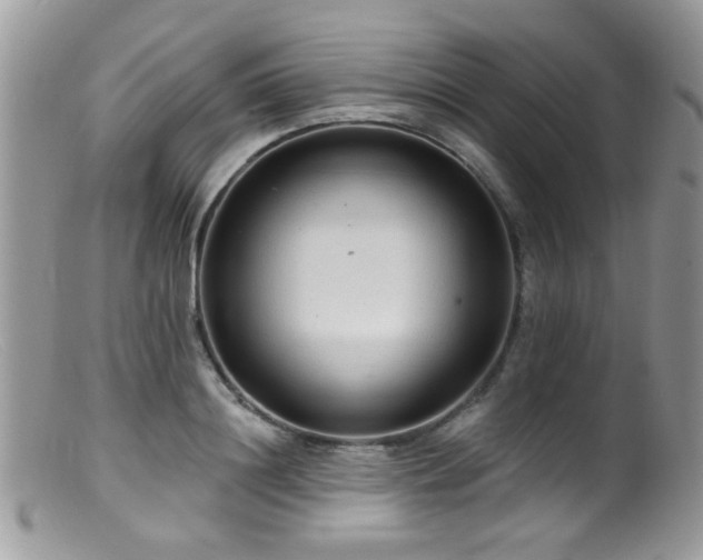 X0000099520844200805151522
