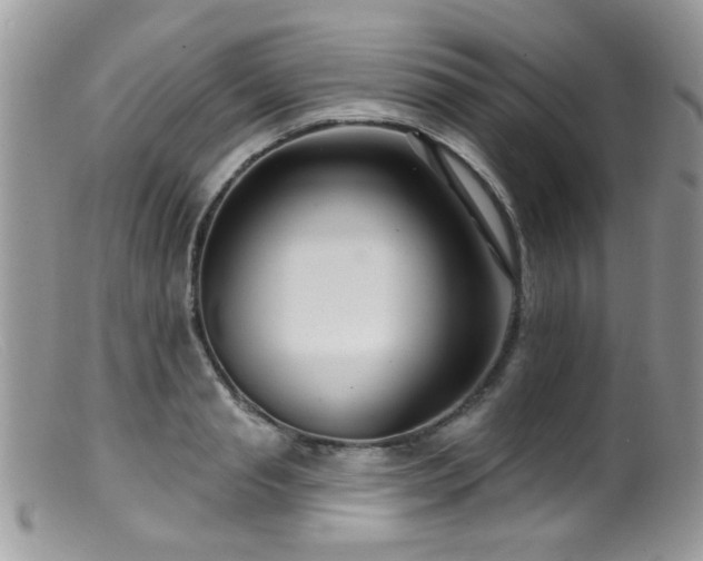 X0000099520845200805151522