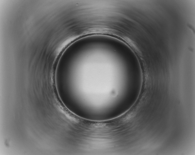 X0000099520846200805151522