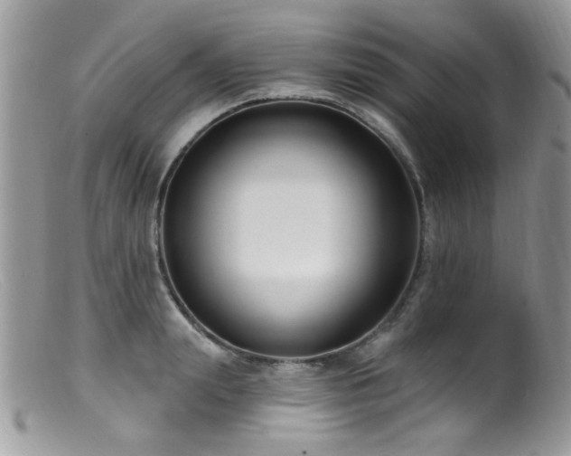X0000099520847200805151522