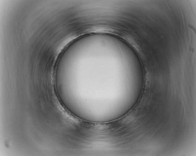 X0000099520848200805151523