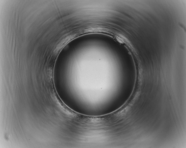 X0000099520849200805151523