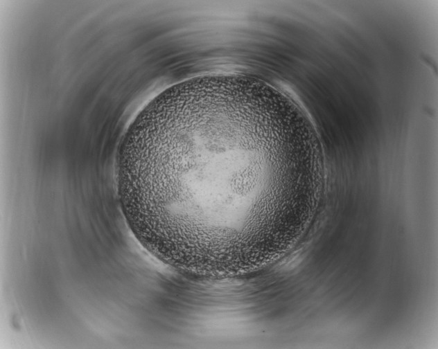 X0000099520851200805151523
