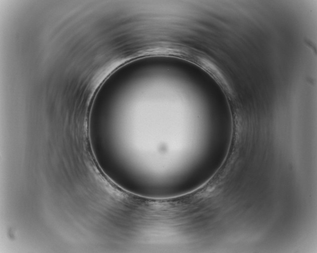 X0000099520852200805151523