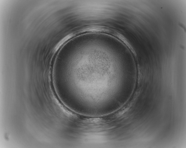 X0000099520853200805151523