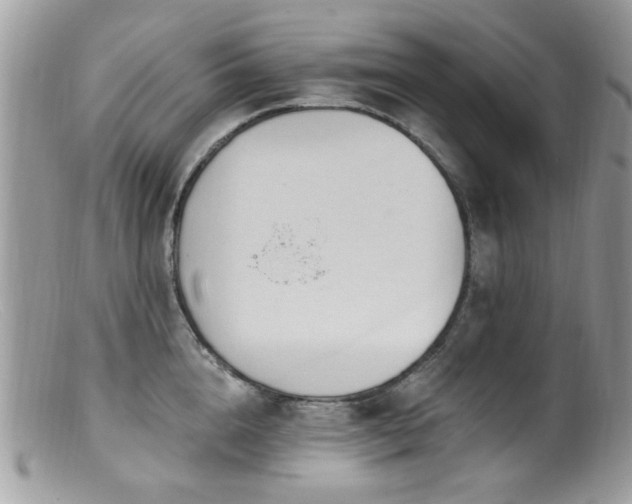 X0000099520856200805151523