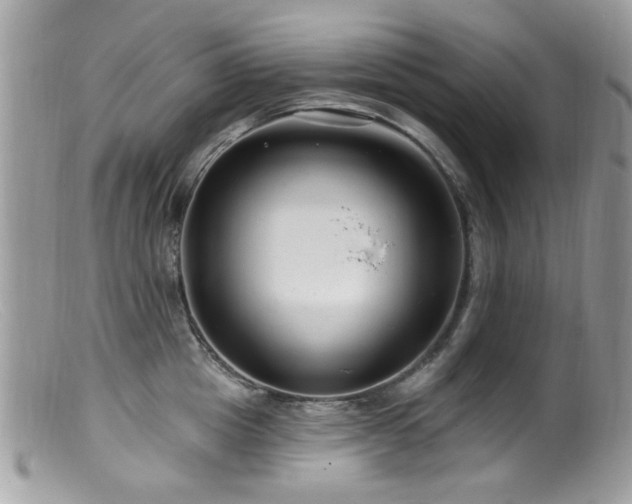 X0000099520857200805151523