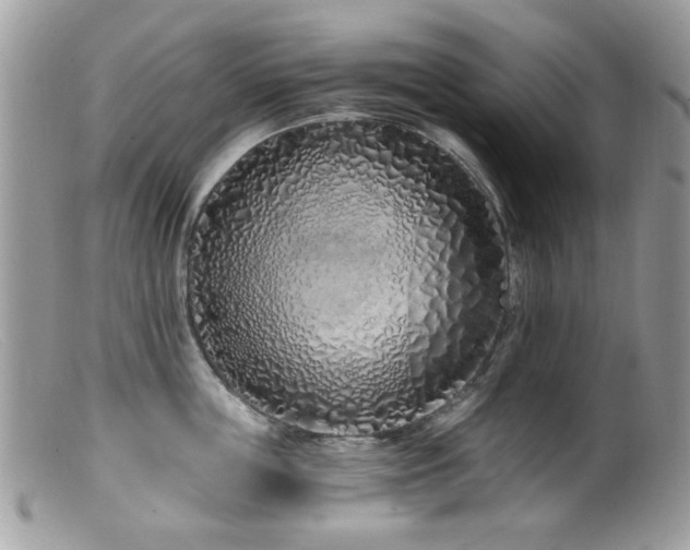 X0000099520859200805151523