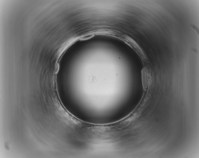 X0000099520860200805151523