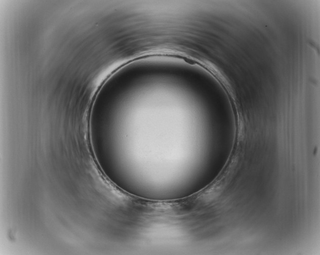 X0000099520862200805151523