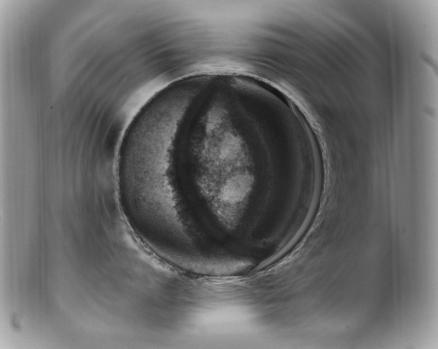 X0000099520864200805151523