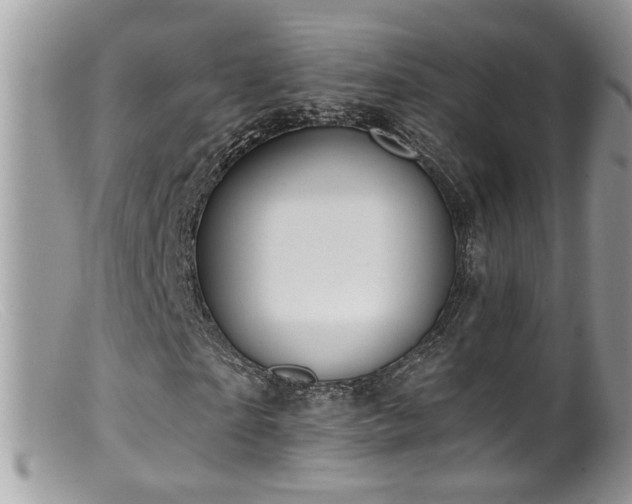 X0000099520865200805151522