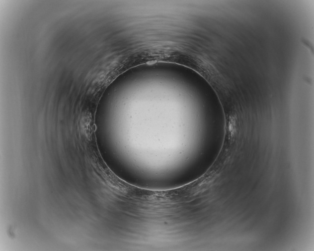X0000099520867200805151522
