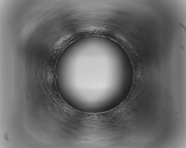 X0000099520869200805151522