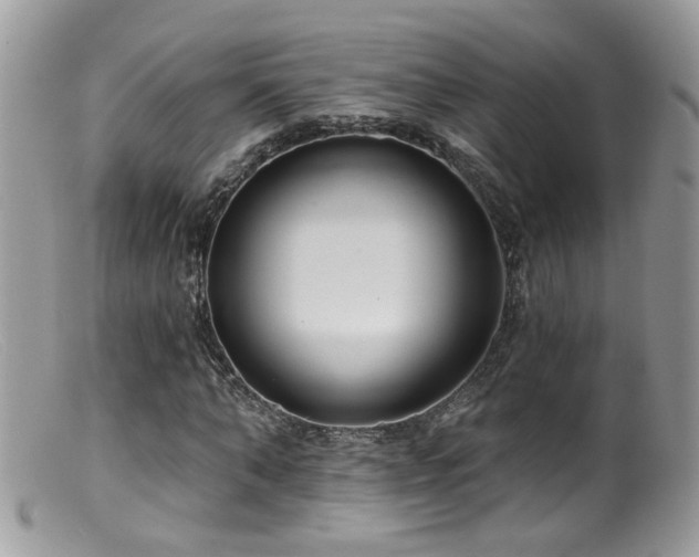X0000099520870200805151522