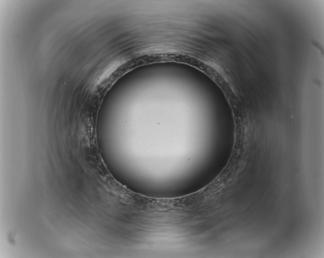 X0000099520871200805151522