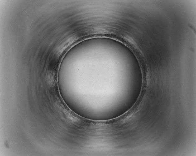 X0000099520873200805151522