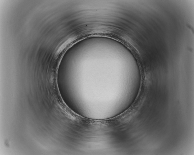 X0000099520874200805151522