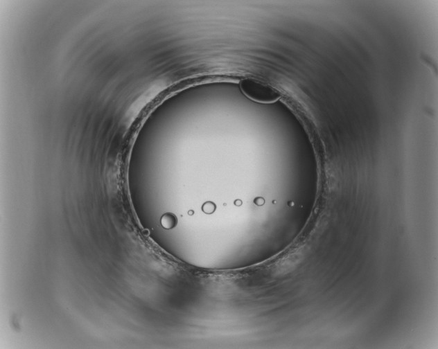 X0000099520875200805151522