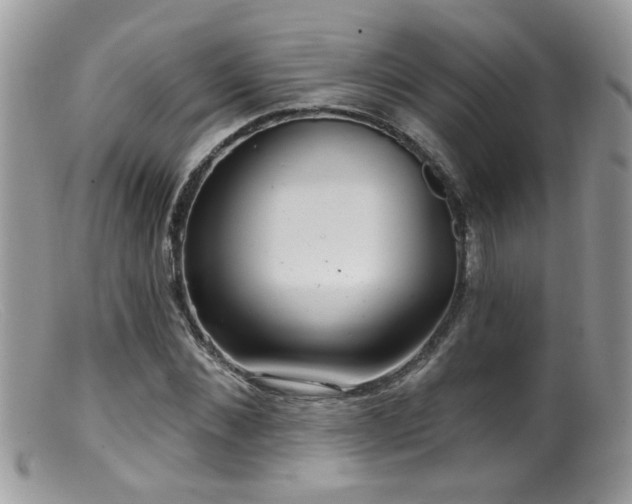 X0000099520876200805151522