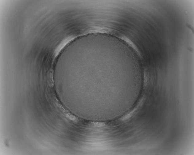 X0000099520878200805151522