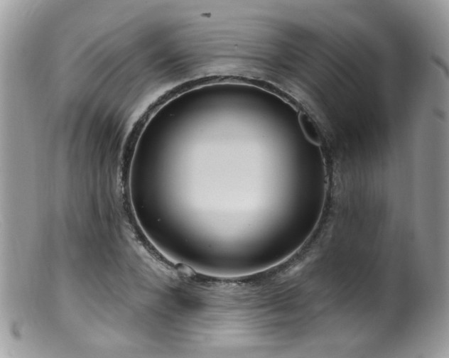 X0000099520880200805151522